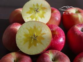 护山冰糖心苹果礼盒装