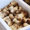 鲜美赤松茸300g  新鲜菌菇  蘑菇煲汤  菌香浓郁 应季蔬菜 商品缩略图4