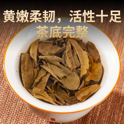 德丰昌普洱生茶老料【百濮臻茗】357克/饼金奖 新品上市 商品图5
