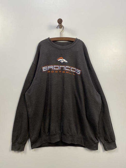 Y2K Vintage NFL 美国职业橄榄球大联盟 TEAM 卫衣 _SLSS(L-XL) 商品图1