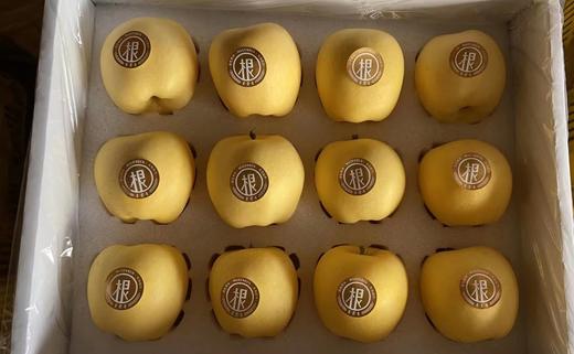 木艮本 蜜恋黄金苹果 12头（约5.5斤/箱）| 水果 商品图1