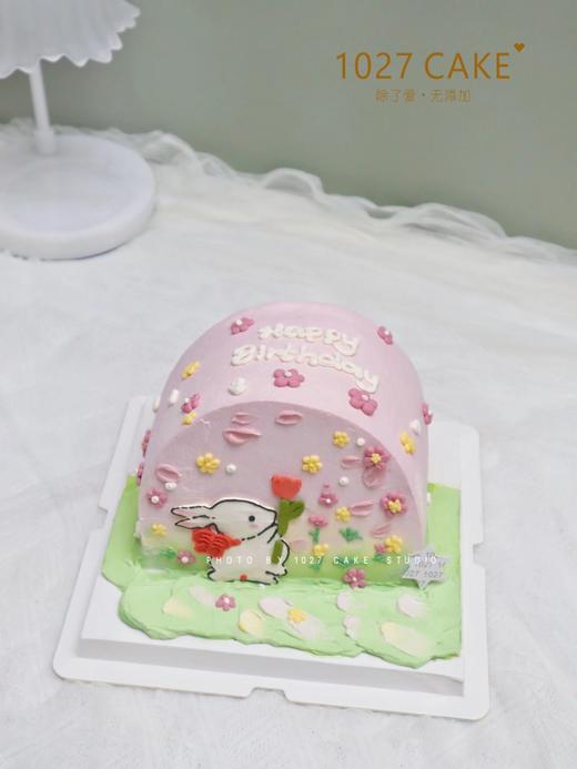 1027CAKE |  小清新 手绘 田园小兔 商品图3