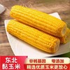 HEB东北粘玉米10棒/箱 商品缩略图1