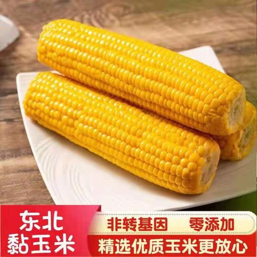 HEB东北粘玉米10棒/箱 商品图1