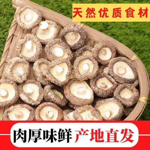 HEB东北香菇500g/袋 商品图3