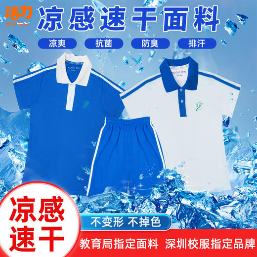 深圳小学高级版速干凉感索罗纳小学男女夏运上衣短裤套装（高级中学熨烫校徽） 商品图0