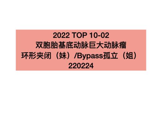 TOP2.双胞胎基底动脉/巨大动脉瘤环形夹闭（妹）/Bypass孤立（姐） 商品图0