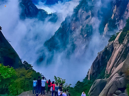 3.14-3.18【婺源黄山5日】婺源花事-水墨徽州の婺源油菜花海-黄山-宏村 -阳产土楼-新安江百里画廊-徽州古城 商品图9