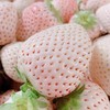 丹东淡雪草莓 约380g9枚装 商品缩略图1