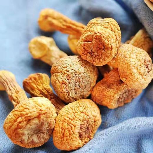 HEB东北松茸500/2袋 商品图6