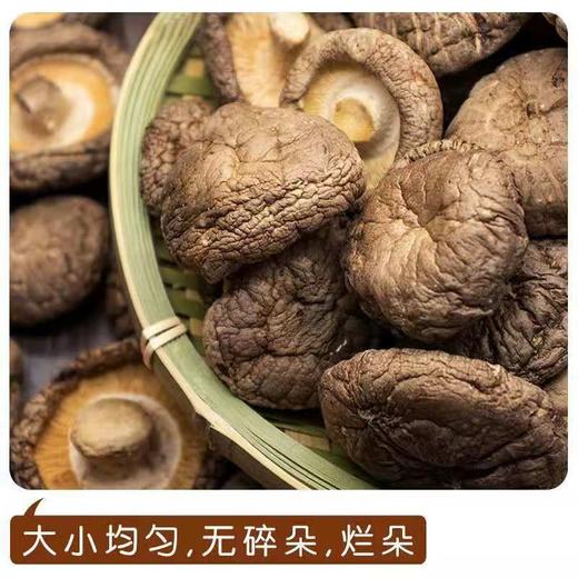HEB东北香菇500g/袋 商品图6