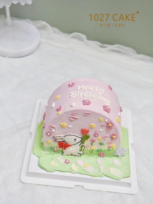 1027CAKE |  小清新 手绘 田园小兔 商品图2
