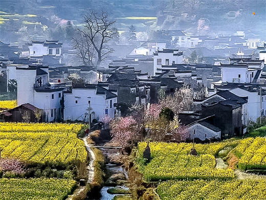 3.14-3.18【婺源黄山5日】婺源花事-水墨徽州の婺源油菜花海-黄山-宏村 -阳产土楼-新安江百里画廊-徽州古城 商品图7