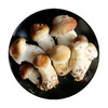 鲜美赤松茸300g  新鲜菌菇  蘑菇煲汤  菌香浓郁 应季蔬菜 商品缩略图6