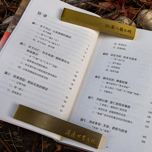 民惟邦本：民本思想与中国古代政治（跨越时空的中国词） 商品图5