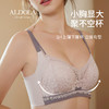 雅黛丽内衣女聚拢小胸显大文胸无钢圈收副乳防下垂性感美背女胸罩 商品缩略图1