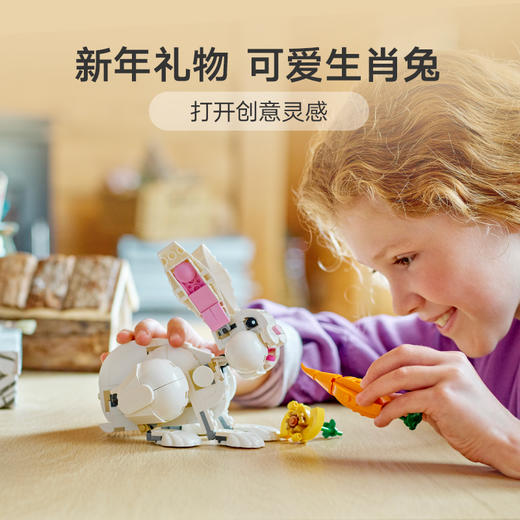 乐高创意三合一系列31133可爱的白兔 商品图4