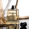巴宝莉 骏勇之心（英雄） Burberry Hero EDT/EDP 分装 商品缩略图6