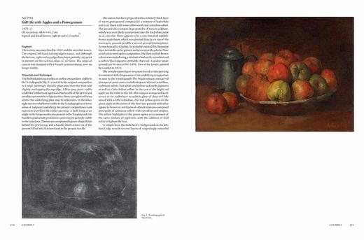 The Nineteenth-Century French Paintings: Volume 1,，十九世纪法国绘画：第1卷，绘画 商品图5