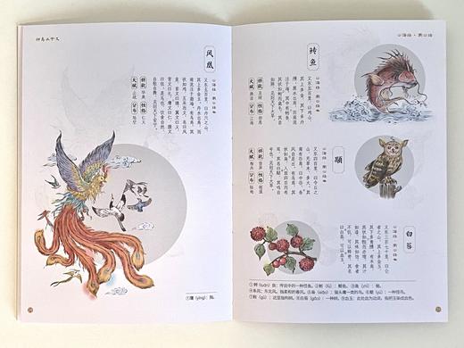 漫画山海经：画给孩子的奇幻之旅（全12册）6岁+ 60个奇幻趣味故事 激发孩子想象力 商品图13