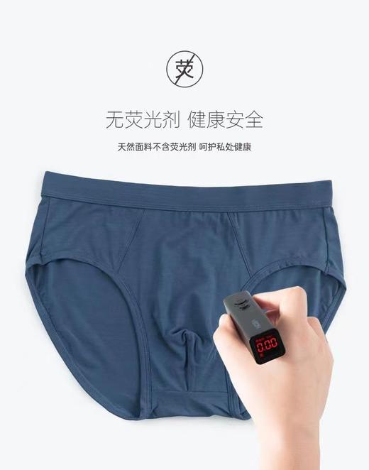 TZ竹纤维男士素色三角内裤4047 商品图2