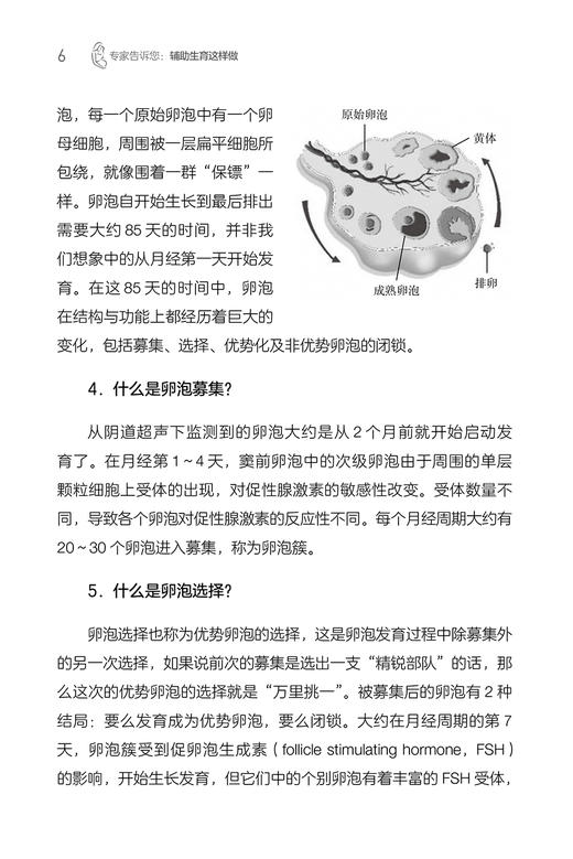 专家告诉您辅助生育这样做 张学红 王薇 不孕不育辅助生殖科普知识 适用于患者生殖医学医护人员参阅 人民卫生出版社9787117338639 商品图4