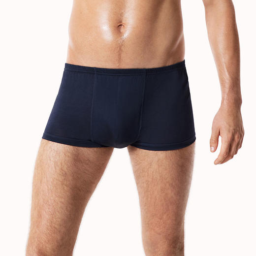 男士桑蚕丝内裤 | 金三塔男真丝中腰内裤/简约平脚内裤 藏青+灰色 2条装【非质量问题不退不换】 商品图2