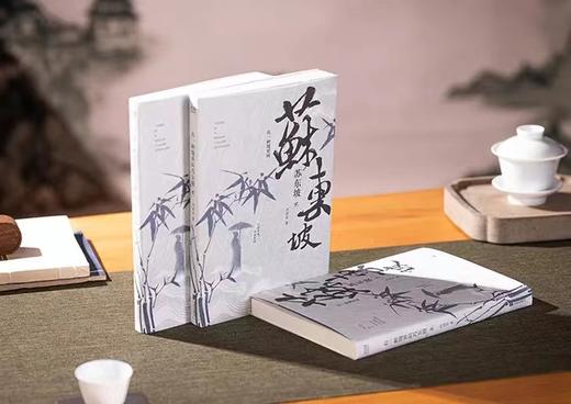 《有一种境界叫苏东坡》3册 商品图6