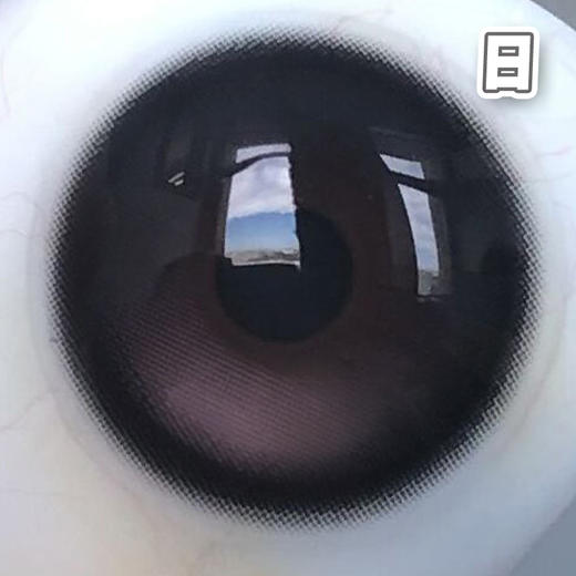 #CD-16 腮红黑 14.2mm 【10片装】国产精品 / 日抛 商品图5