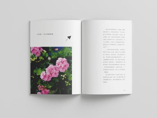 最美不过是日常9787521919134 商品图2