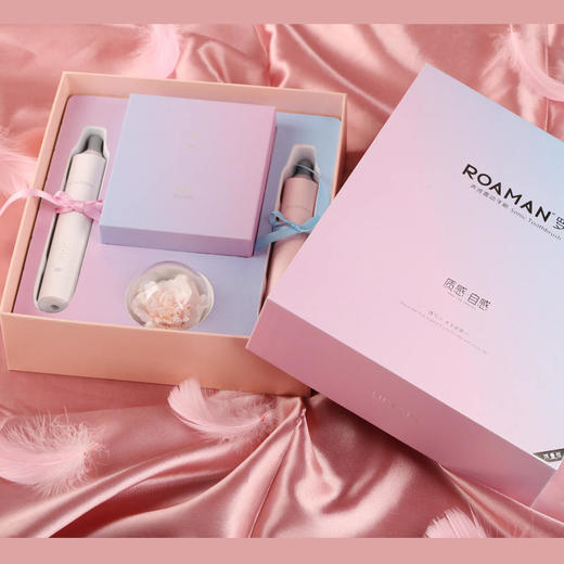 罗曼 声波电动牙刷情侣套装L11 商品图4