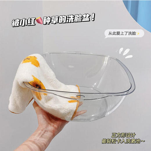 BDO方形小号透明盆 商品图0