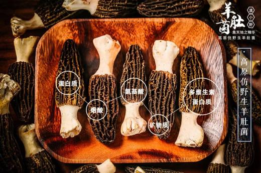 头茬鲜采！【云南羊肚菌】四大名菌之一！高海拔 仿野生 邂逅一场时鲜宴~ 商品图1