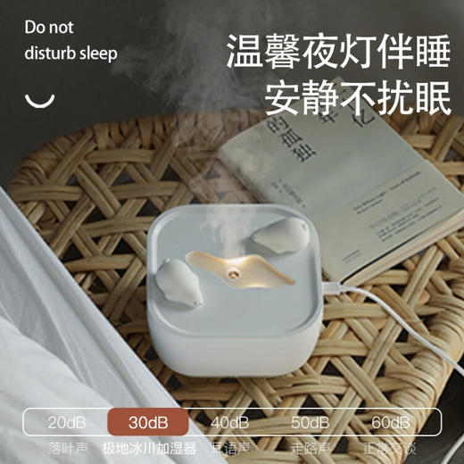 极地物种冰川香薰夜灯多功能加湿器  JDWZ 商品图6