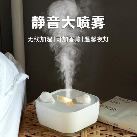 极地物种冰川香薰夜灯多功能加湿器  JDWZ 商品图2