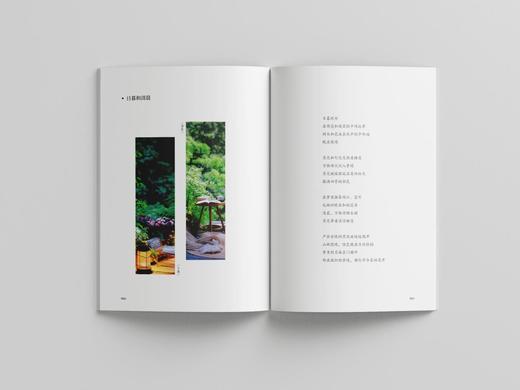 最美不过是日常9787521919134 商品图3