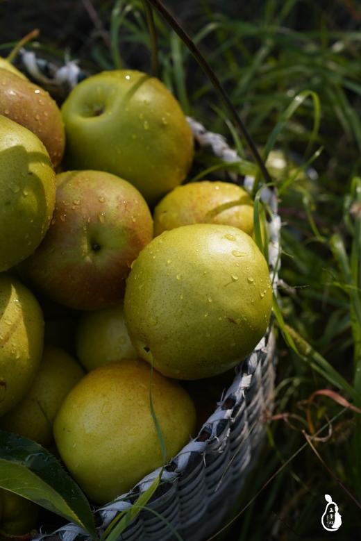 【限量秒杀】玉露香梨，肉质酥脆 ，汁水足，天上蟠桃宴，人间玉露香 商品图1
