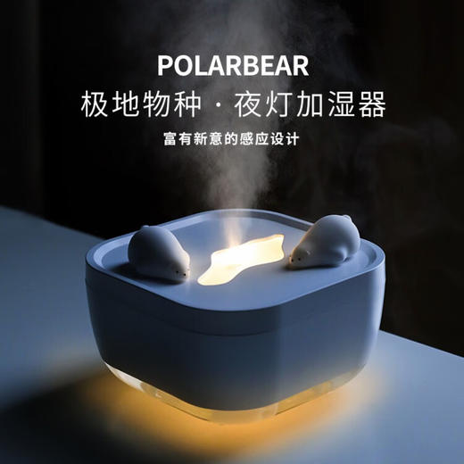 极地物种冰川香薰夜灯多功能加湿器  JDWZ 商品图1