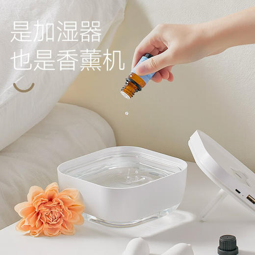 极地物种冰川香薰夜灯多功能加湿器  JDWZ 商品图5