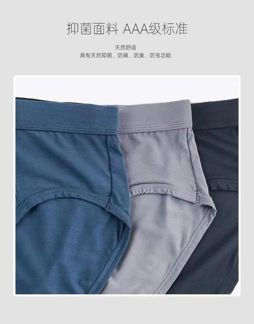 TZ竹纤维男士素色三角内裤4047 商品图1