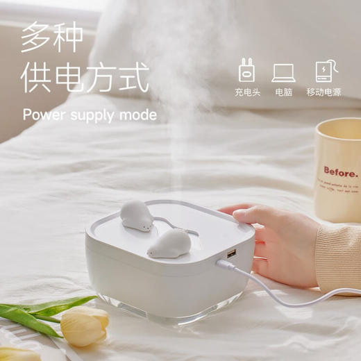 极地物种冰川香薰夜灯多功能加湿器  JDWZ 商品图0