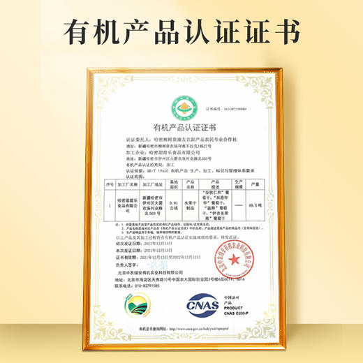 新疆有机五色葡萄干 商品图7