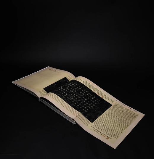 《虎嗅蔷薇》，精装，小8开，王双强著，西泠印社2022年出版，定价380，售价332元。 商品图9