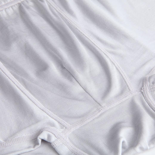 男士桑蚕丝内裤 | 金三塔男真丝中腰内裤/简约平脚内裤 藏青+灰色 2条装【非质量问题不退不换】 商品图3