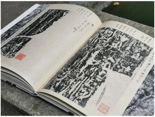 《又见老虎》，小8开，精装，  王双强著，浙江人民美术出版社2020.7出版，248页，定价280，售价218元 商品图14