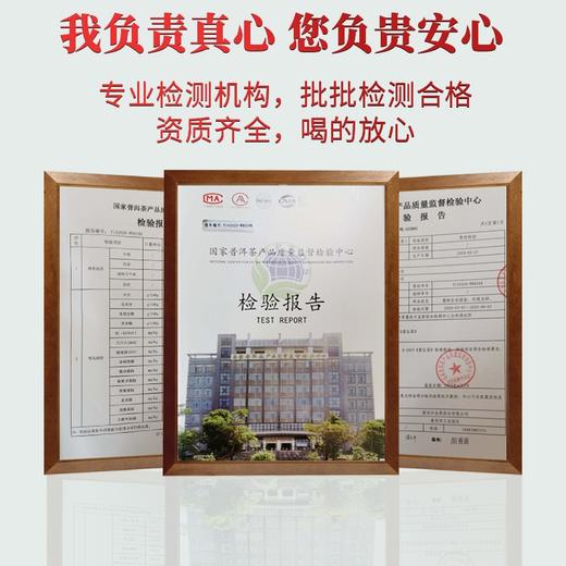 吉顺号茶叶-糯米香小沱茶普洱熟茶100克 商品图5