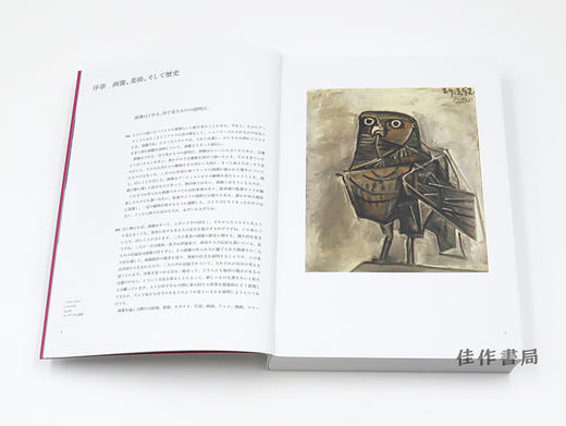 絵画の歴史 洞窟壁画からiPadまで （増補普及版） / 图画史：从洞穴石壁到电脑屏幕 A History of Pictures: From the Cave to the Computer Scr 商品图1