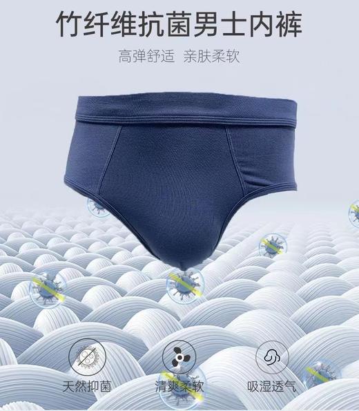 TZ竹纤维男士素色三角内裤4047 商品图0