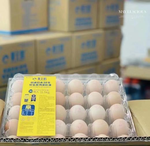黄天鹅生食蛋（餐饮版包装） 商品图1