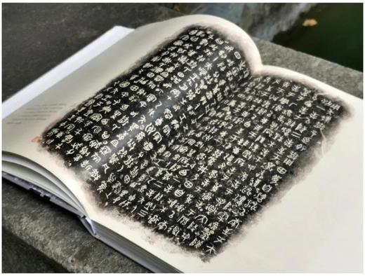 《又见老虎》，小8开，精装，  王双强著，浙江人民美术出版社2020.7出版，248页，定价280，售价218元 商品图2